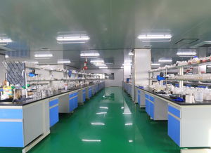 從化復大生物 引領美妝新風尚，解析如何選擇優質化妝品OEM加工廠